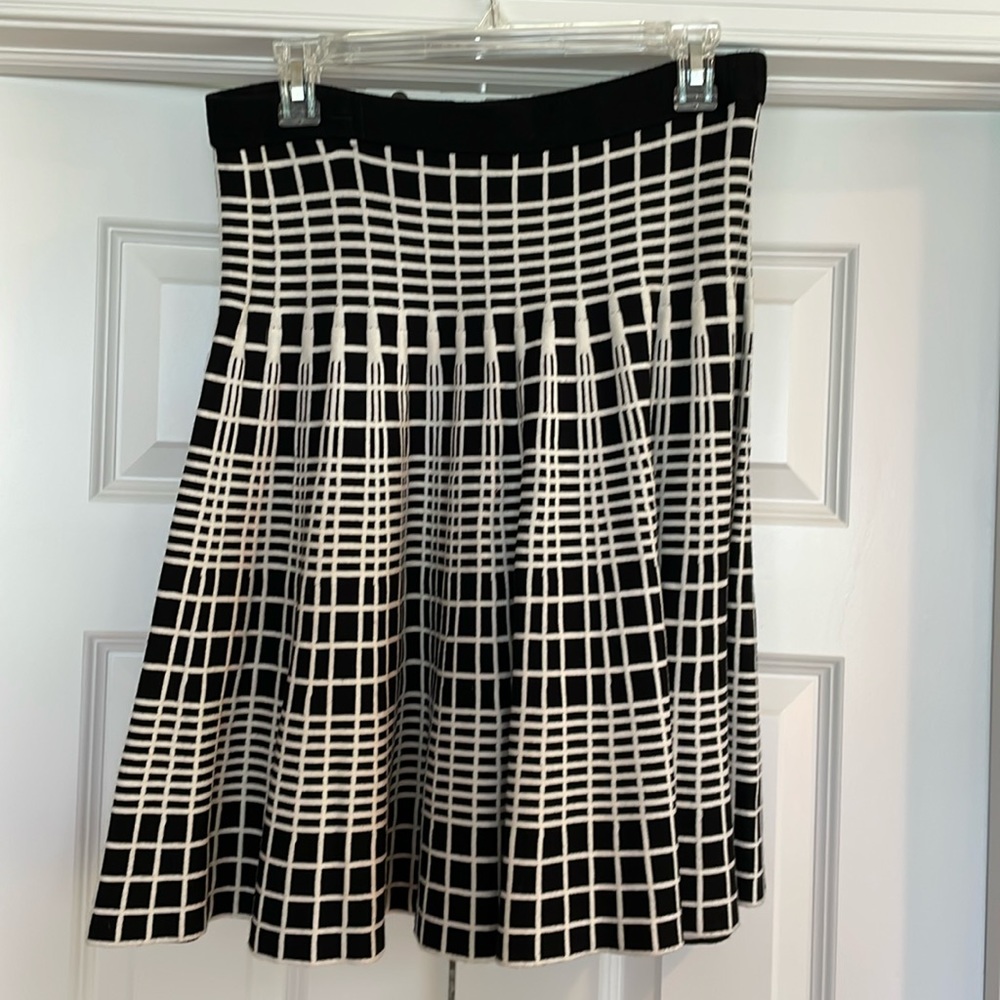 Flit and Flare A Line Skirt